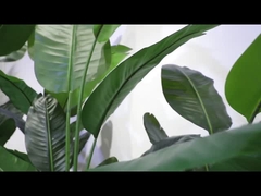 วิดีโอส่วนหมุน