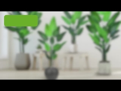 ไม้ปาล์มของนักเดินทางปลอม (นกปาล์มสวรรค์) - 180cm / 200cm PE ใบปลอม