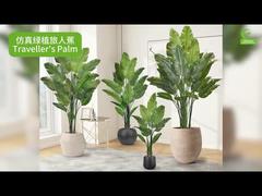 ต้นปาล์มเทียมสำหรับนักเดินทางพร้อมขอบใบสมจริง 160 ซม. 180 ซม. | นกยูงเทียมเหมือนจริง