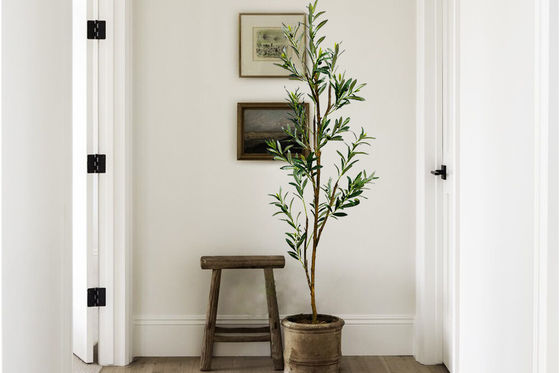Olive Tree Rain Forest Style Artificial PE Bonsai 165cm Green Fire Retardant