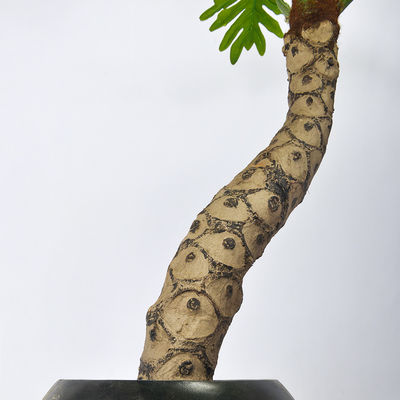 170cm Artificial Landscape Trees L Shape Split Philo Garden Decoration No Watering