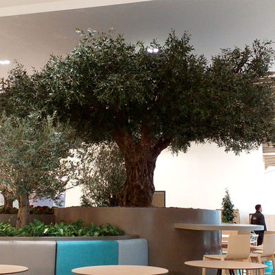 Factory Price Large Artificial Olive Tree, a Large Ornamental Fiberglass Tree for Indoor Restaurants and Shopping Malls