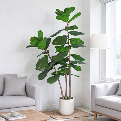 Artificial Fiddle Leaf Fig Tree 150cm 180cm 210cm Faux Ficus Lyrata Large Fake Plant for Home Office Decor