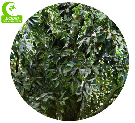 Easy To Care H400cm Lifelike Artificial Laurel Tree Anti Fading