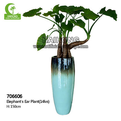 High Simulation Natural Elephant's Ear Plant With Beautiful Pots
