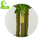 พืชสังเคราะห์ Anti UV 1.7m สำหรับในร่มหญ้าเทียมสูงดูแลง่าย