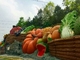 ผลไม้และผักน่ารักประติมากรรม Topiary, ประติมากรรมสวนกลางแจ้ง Colorful