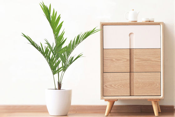 Eco Friendly Artificial Kenita Palm Tree Outdoor Decoration