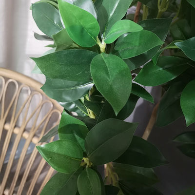 Potted Plant Evergreen Artificial Fortune Tree 30-60cm Natural Leaves For Bedroom Decor