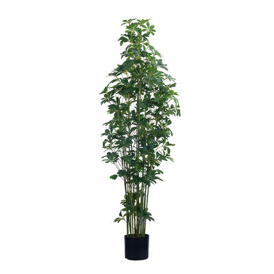 47in 59in 70in สูงจริงสัมผัสเทียม Schefflera ไม้เขียวถัง Schefflera พืชสําหรับตกแต่งบ้าน
