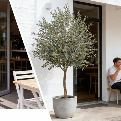 ต้นมะกอกประดับสูง ต้นมะกอกประดับสูง ต้นมะกอกประดิษฐ์ประดิษฐ์สําหรับตกแต่งภายใน