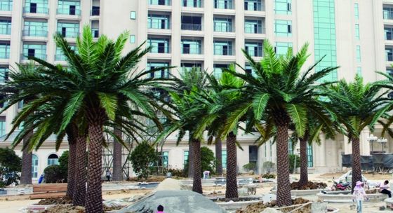 Supplier Height 500cm Artificial Date Palm Tree High Quality Outdoor Tropical Tree
